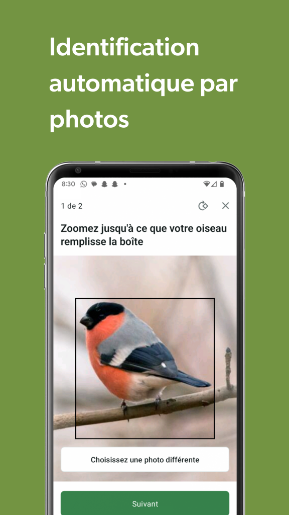 Merlin Bird ID par Cornell Lab